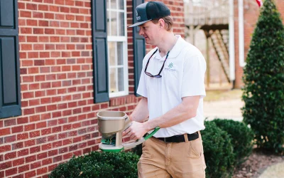 Fall Invaders: What You Need to Know (and How to Keep Them Out)