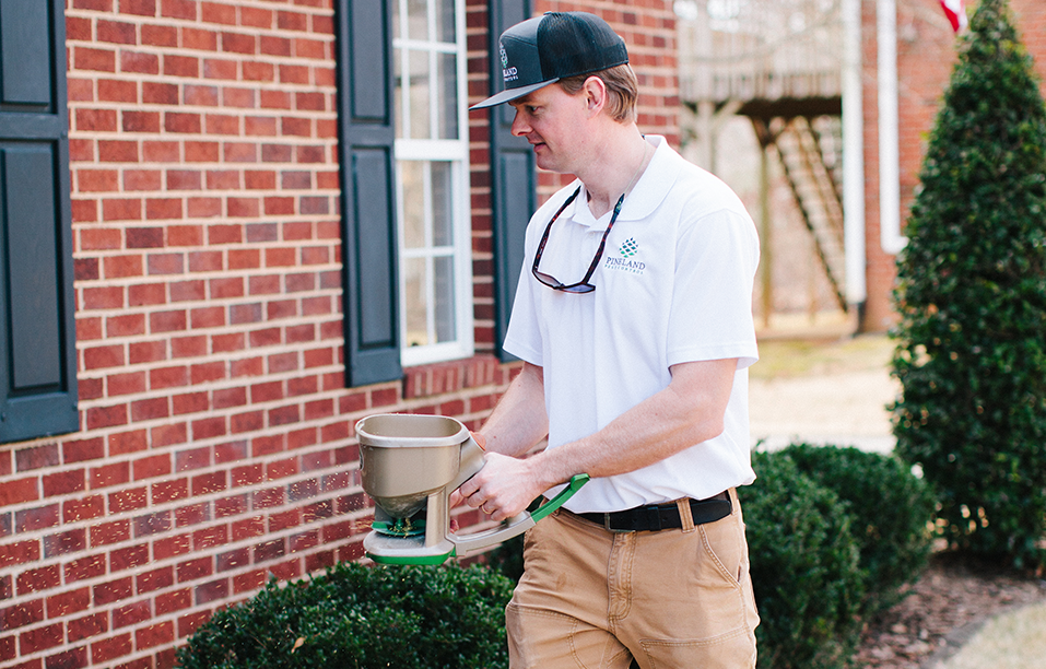 pineland-pest-control-your-neighborhood-pest-specialists pest control service greensboro