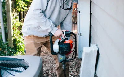 How Often Should You Have Pest Control in the Piedmont Triad?