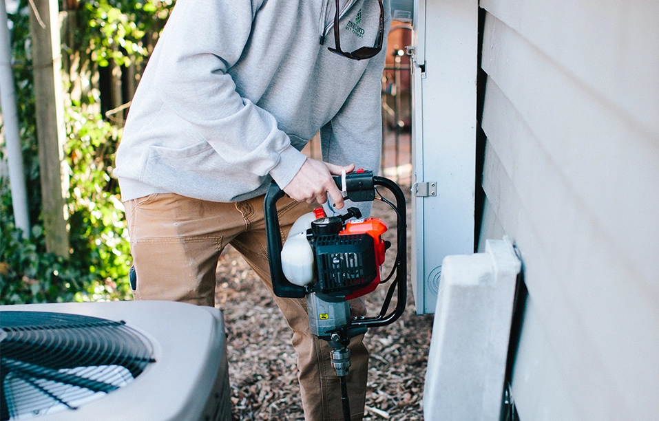 How Often Should You Have Pest Control in the Piedmont Triad?