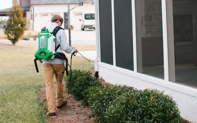 Piedmont Triad Pest Calendar: What Homeowners Should Watch for Each Season