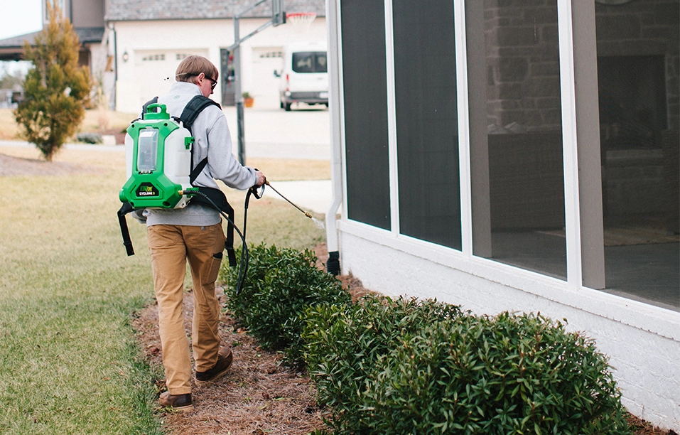 Piedmont Triad Pest Calendar: What Homeowners Should Watch for Each Season